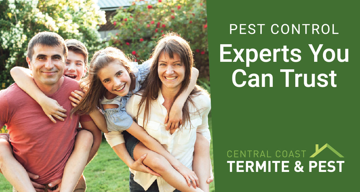 what-is-an-exclusion-service-central-coast-termite-pest